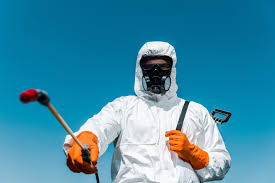 Best Emergency Pest Control  in Green Valley, AZ